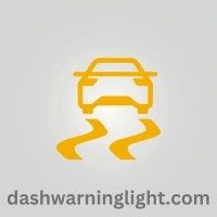 Lamborghini Electronic Stability Control Warning Light